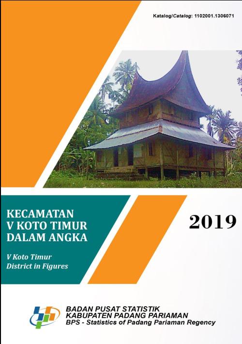 V Koto Timur District in Figures 2019