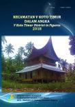 V Koto Timur District in Figures 2018