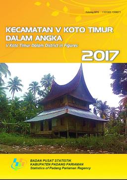 V Koto Timur Subdistrict In Figures 2017