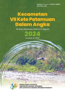 VII Koto Patamuan District In Figures 2024