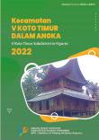 V Koto Timur Subdistrict In Figures 2022