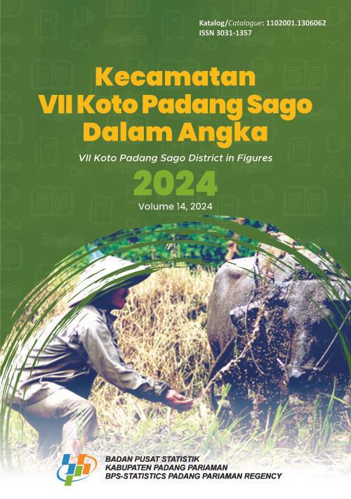 VII Koto Padang Sago District in Figures 2024