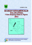 Kecamatan V Koto Kp Dalam Dalam Angka 2011