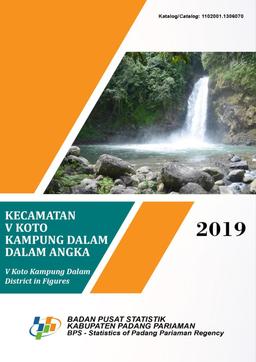 Kecamatan V Koto Kp Dalam Dalam Angka 2019